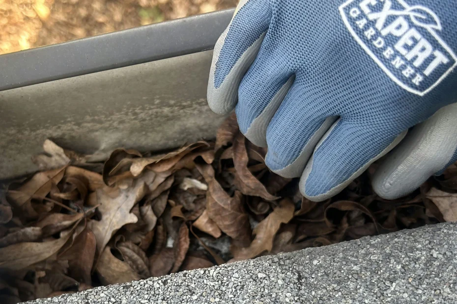 Hendersonville Gutter Cleaning